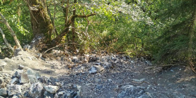 მსხვერპლით დასრულდა ავტოსაგზაო შემთხვევას ბორჯომში