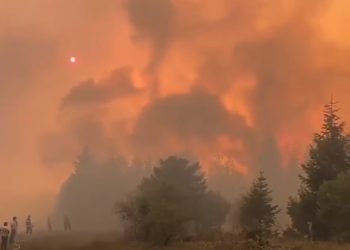 ვიდეო – მძიმე ღამე ბორჯომში – ხანძარს მაშველებთან ერთად თავდაცვის ძალებიც ებრძვიან