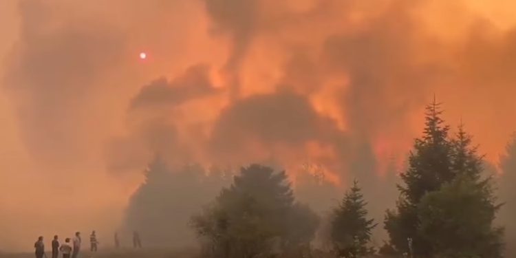 ვიდეო – მძიმე ღამე ბორჯომში – ხანძარს მაშველებთან ერთად თავდაცვის ძალებიც ებრძვიან