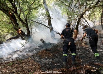 თბილისის მიმდებარედ, ტყის მასივებში გავრცელებული ხანძრები ლიკვიდირებულია