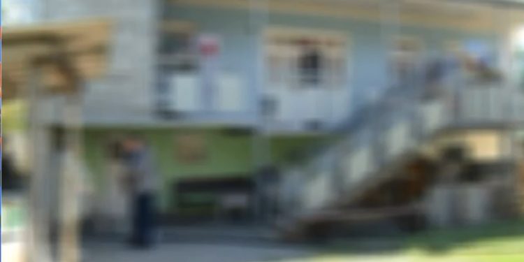 შვილიშვილზე სექსუალურ ძალადობაში ბრალდებულის ცოლი ამბობს, რომ გოგონა იტყუება