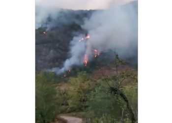 ჩოხატაურში ტყეში ხანძარია