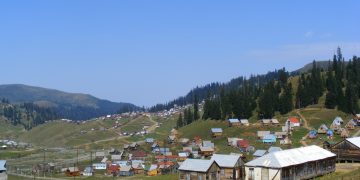 პროკურატურამ ბახმაროში მიწის თაღლითურად დაუფლების ფაქტები გამოავლინა