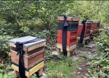 სამეფო ოჯახის ფუტკრებს ელისაბედ მეორეს გარდაცვალება შეატყობინეს