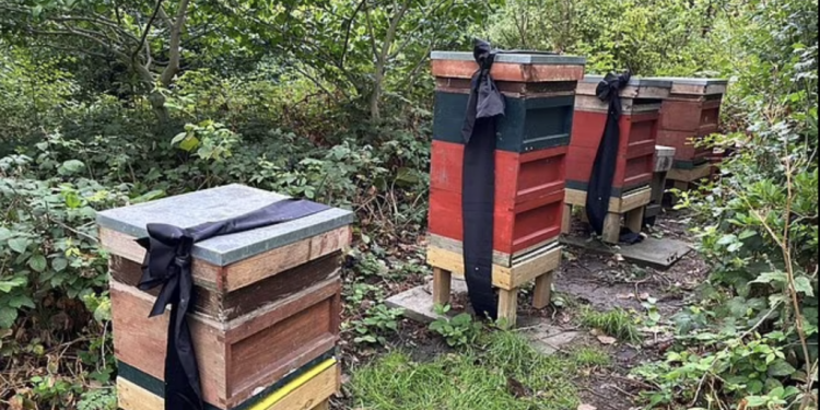 სამეფო ოჯახის ფუტკრებს ელისაბედ მეორეს გარდაცვალება შეატყობინეს