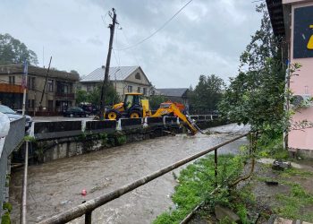 ოზურგეთში წაქცეულმა ხეებმა გზები ჩაკეტა