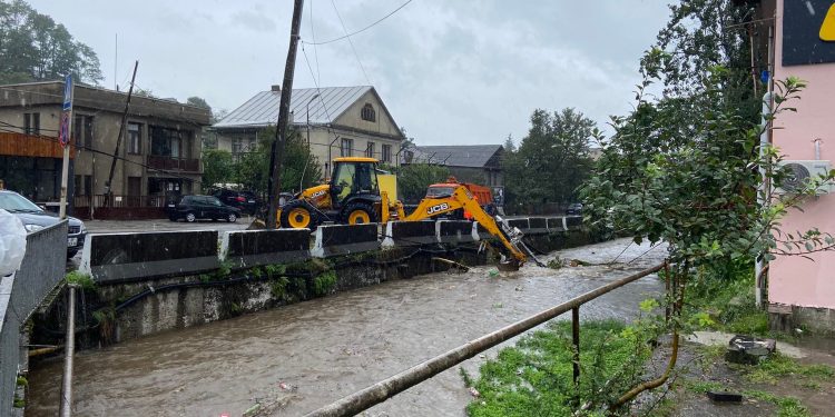 ოზურგეთში წაქცეულმა ხეებმა გზები ჩაკეტა