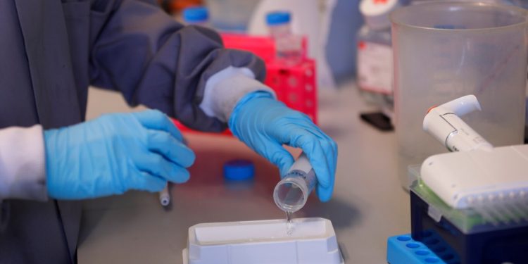 აღმოჩენილია 2 ანტისხეული, რომლებიც კოვიდ-19-ის ყველა შტამს ანეიტრალებს