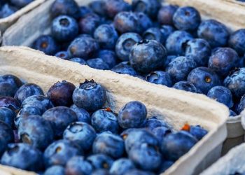 პროდუქტები, რომლებიც დიეტის დროს ჯანმრთელობის შენარჩუნებაში დაგეხმარებათ