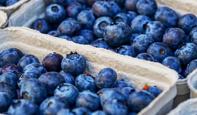 პროდუქტები, რომლებიც დიეტის დროს ჯანმრთელობის შენარჩუნებაში დაგეხმარებათ