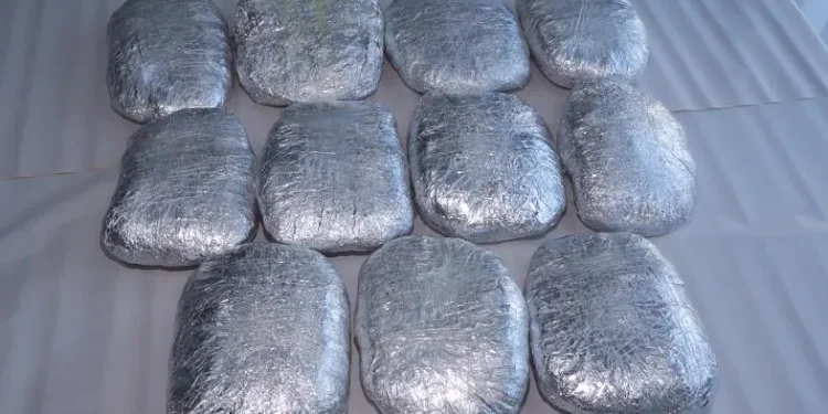 ბათუმის აეროპორტში სამხრეთ აფრიკიდან შემოტანილი 11 კილოგრამზე მეტი მარიხუანა ამოიღეს