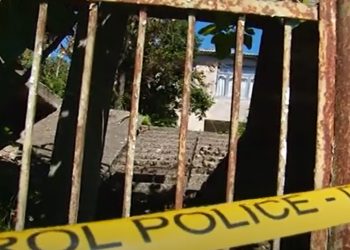 ვიდეო – ოზურგეთში მეზობელმა ქალი დაჭრა