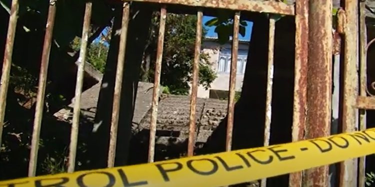 ვიდეო – ოზურგეთში მეზობელმა ქალი დაჭრა