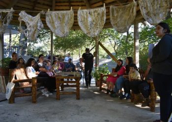 საცვლების როლი სოფლის მეურნეობის განვითარების საქმეში – ქართველი ფერმერების სახალისო ექსპერიმენტი