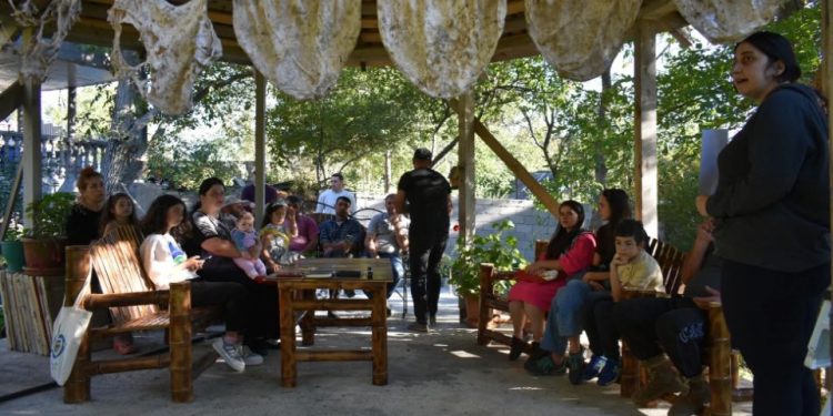 საცვლების როლი სოფლის მეურნეობის განვითარების საქმეში – ქართველი ფერმერების სახალისო ექსპერიმენტი