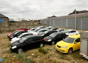 დიდი ოდენობით გადასახადისთვის განზრახ თავის არიდების ფაქტებზე ორი პირია დააკავებული