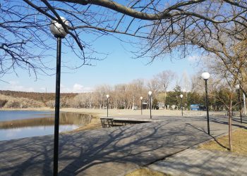 ვიდეო – ეს ხდება ლისზე. როდესაც ვკითხე, თუ რატომ აკეთებდა, პასუხმა შოკი მიმაღებინა” -სოციალურ ქსელში ვიდეო ვრცელდება