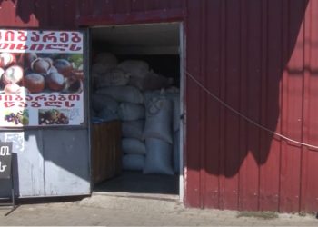 “სამარცხვინო ფასია, მრცხვენია გლეხს ფასს რომ ვეუბნები” – მოსახლეობა თხილის წლევანდელი ფასით უკმაყოფილოა