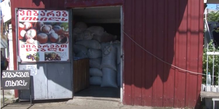 “სამარცხვინო ფასია, მრცხვენია გლეხს ფასს რომ ვეუბნები” – მოსახლეობა თხილის წლევანდელი ფასით უკმაყოფილოა