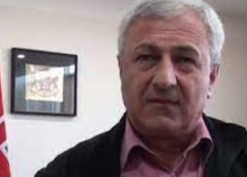 გორის ყოფილი მერის მოადგილე და საკონსტიტუციოს მოსამართლე დააკავეს