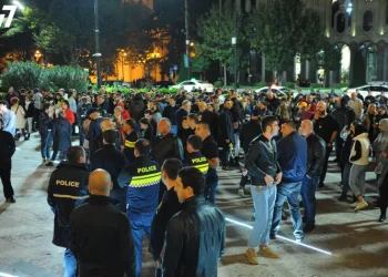 ვაკის პარკში მომხდარ ტრაგიკულ შემთხვევასთან დაკავშირებით პარლამენტთან აქცია მიმდინარეობს