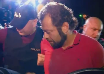 ვაკის პარკში მომხდარი ტრაგედიის საქმეზე დაკავებულები ვაკე-საბურთალოს პოლიციაში მიიყვანეს