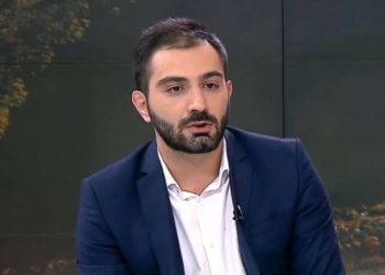 თბილისის მერიის გარემოს დაცვის საქალაქო სამსახურის უფროსი გადადგა