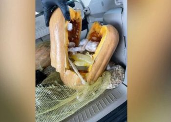 საზღვრის გადაკვეთისას გოგრაში 400 000 დოლარის ღირებულების მეტამფეტამინი აღმოაჩინეს – შემთხვევა აშშ-ში