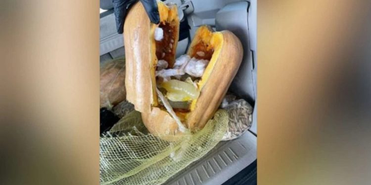 საზღვრის გადაკვეთისას გოგრაში 400 000 დოლარის ღირებულების მეტამფეტამინი აღმოაჩინეს – შემთხვევა აშშ-ში