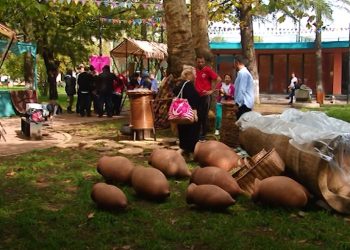 გურიის ახალი ამბები – 10.10.2022