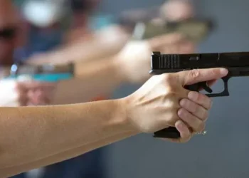 სპორტულ ცეცხლსასროლ იარაღებთან დაკავშირებული რეგულაციები შესაძლოა, შეიცვალოს