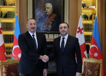 რაზე ისაუბრეს ღარიბაშვილმა და ილჰამ ალიევმა