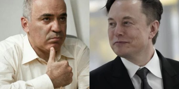 კასპაროვი იდიოტია, ის ჭადრაკს ჩემი აიფონივით თამაშობს – ილონ მასკი