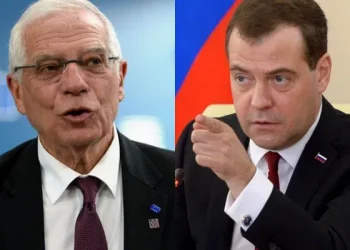 ჟოზეფ ბორელი დამჭკნარი ბრიუსელური კომბოსტოა – დიმიტრი მედვედევი