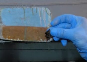 ვიდეო – როგორ მალავენ გასაყიდ ნარკოტიკებს რეალიზატორები- შსს კადრებს ავრცელებს