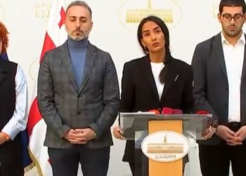 ოპოზიციამ კალაძე ვაკის პარკის შადრევნის საქმეზე საკრებულოში დაიბარა