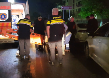 რუსთავში პიტბულის ჯიშის ძაღლმა 4 ადამიანი დაგლიჯა (+ვიდეო)