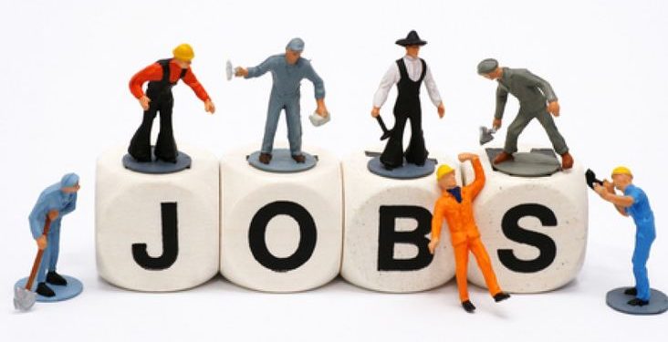 ვინ ასაქმებს ყველაზე მეტ ადამიანს საქართველოში – top-10 საწარმო