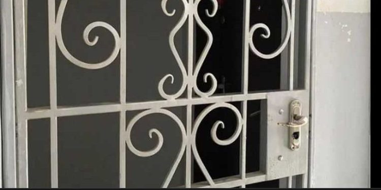 ექიმის სახლიდან ამოღებული დიდი ოდენობით გახრწნილ ხორცზე ჩატარებული ექსპერტიზის დასკვნა ცნობილია