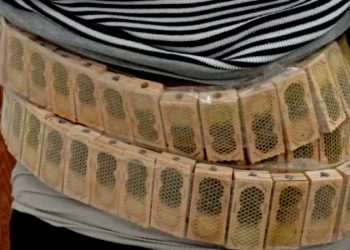 კაცს სხეულზე დამაგრებული 1100 ფუტკარი გადაჰყავდა, ის სარფის საბაჟოზე დააკავეს