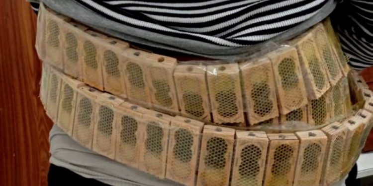 კაცს სხეულზე დამაგრებული 1100 ფუტკარი გადაჰყავდა, ის სარფის საბაჟოზე დააკავეს