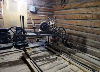 აჭარაში 2 უკანონო სახერხი საამქრო გამოავლინეს- გარემოსდაცვითი ზედამხედველობის დეპარტამენტი