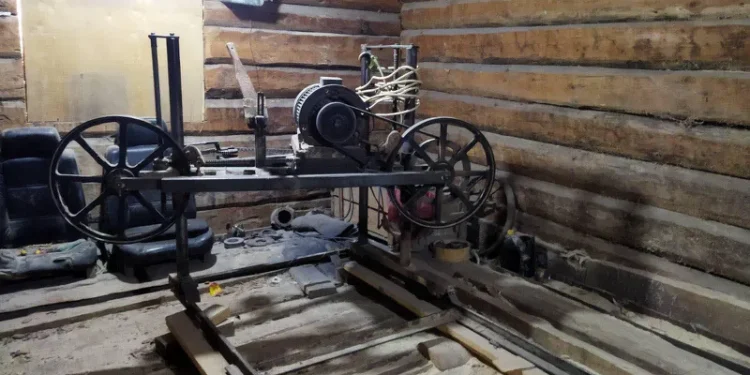 აჭარაში 2 უკანონო სახერხი საამქრო გამოავლინეს- გარემოსდაცვითი ზედამხედველობის დეპარტამენტი