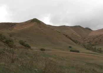 დიდი ოდენობით სახელმწიფო ქონების მოტყუებით დაუფლების ფაქტზე, სისხლისსამართლებრივი დევნა ორი პირის მიმართ დაიწყო