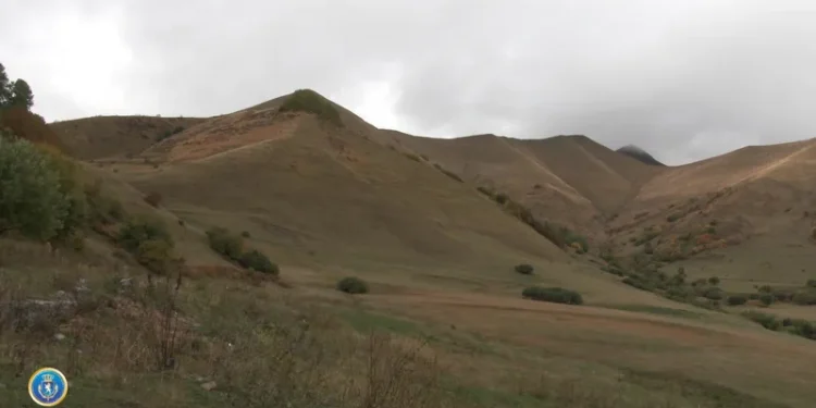 დიდი ოდენობით სახელმწიფო ქონების მოტყუებით დაუფლების ფაქტზე, სისხლისსამართლებრივი დევნა ორი პირის მიმართ დაიწყო