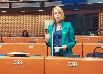 “ვარ იმ ქვეყნიდან, რომელსაც ოლიგარქი მართავს”-ოზურგეთის საკრებულოს ენმ-ის დეპუტატის მიმართვა ევროსაბჭოს