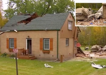 აშშ-ში ჩამოვარდნილი თვითმფრინავი სახლს დაეცა