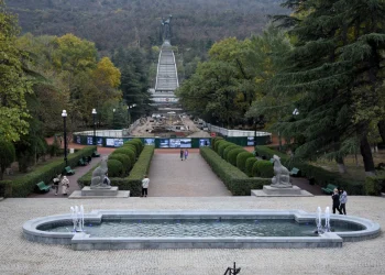 კომპანია, რომელმაც ვაკის პარკის შადრევანზე ინსპექტირების 5 ანგარიში მოამზადა, შავ სიაშია