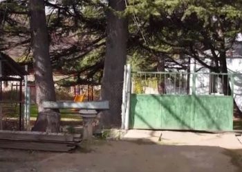 სოფელ ხიდისთავის საბაშვო ბაღში გველი შეიპარა