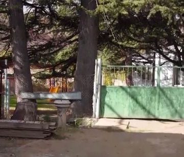 სოფელ ხიდისთავის საბაშვო ბაღში გველი შეიპარა